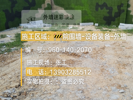 南岸迷彩漆喷涂方法（通用 + 数码专项